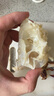 舟山梭子蟹鮮活特大野生大螃蟹新鮮冷凍海鮮水產(chǎn)海蟹飛蟹白蟹順豐 9兩以上/只【5斤凈重 超大肥美】 曬單實(shí)拍圖