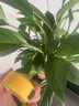 得力（deli）鋼卷尺米尺盒尺拉尺木工尺伸縮尺小迷你卷尺高精度耐摔測(cè)量尺子 【3mx16mm】鋼卷尺-防滑耐磨 曬單實(shí)拍圖