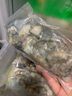鮮京采 厄瓜多爾白蝦 凈重3斤/盒 特大號20-30規(guī)格   30-45只/盒 曬單實拍圖