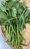 四川新鮮豌豆尖4斤順豐包郵現(xiàn)摘蔬菜豌豆苗碗豆菜火鍋露天龍須菜 4斤 曬單實(shí)拍圖