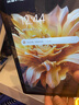 HUAKIN平板電腦2025最新款ipad109全網(wǎng)通5G4K超清網(wǎng)課學(xué)習(xí)游戲娛樂(lè)辦公二合一 深空灰 16pro 16G運(yùn)行 + 256G內(nèi)存+豪華禮品 4K超清|120Hz高刷|雙卡全網(wǎng)通 曬單實(shí)拍圖