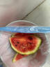正宗黑籽麒麟西瓜應季新鮮水果新鮮現(xiàn)摘沙瓤薄皮麒麟瓜 麒麟西瓜 5-7斤 1枚裝 曬單實拍圖