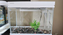 森森（SUNSUN）超白魚缸一體缸自循環(huán)客廳桌面小型家用水族箱HEJ-380 曬單實(shí)拍圖
