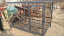 HKML狗籠子大型犬專(zhuān)用實(shí)心鋼筋狗籠加粗加固猛犬巨型犬防跳焊接大狗籠 長(cháng)130*寬120*高140【平頂款】 無(wú)漆 曬單實(shí)拍圖