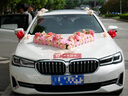 TaTanice婚車(chē)裝飾主婚車(chē)花結婚用品迎親套裝吸盤(pán)婚車(chē)布置頭車(chē)副車(chē)裝飾 卡布奇諾大V款【20套副車(chē)裝飾】 曬單實(shí)拍圖