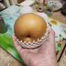 呈鮮果農正宗秋月梨 山東梨子脆甜 當季新鮮水果整箱 中秋送禮推薦 5斤裝一級果單果5-6兩凈重4.5斤+ 曬單實(shí)拍圖