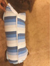 拉維佩特（LOVINGPET）狗絕育手術(shù)服 小型犬絕育衣服狗狗術(shù)后服公狗母狗絕育服 藍(lán)色 XL 建議12-18斤 曬單實(shí)拍圖