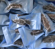 京東京造 大連冷凍即食海參1000g 14-30只 固形物大于70% 遼刺參  曬單實(shí)拍圖