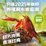 海底撈麻辣蒜蓉小龍蝦2025年新蝦4-6錢(qián)/只加熱即食 2500g 麻辣 小龍蝦（1.25kg*2盒） 曬單實(shí)拍圖