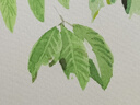 輝柏嘉（Faber-castell）固體水彩24色 固體顏料 便攜式水彩套裝 美術(shù)課必備升級(jí)版 576024美術(shù)寫生 曬單實(shí)拍圖