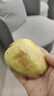 粵迎紅心芭樂(lè)軟糯番石榴潘蕃石榴新鮮紅色巴樂(lè)果廣西水果軟糯香甜好吃 5斤精選果【香甜軟糯】?jī)?.5斤 曬單實(shí)拍圖