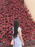 小野七天2025爆款連衣裙女夏季學(xué)生韓版小飛袖娃娃領(lǐng)藍(lán)格子超好看裙子 藍(lán)格紋 M 曬單實(shí)拍圖