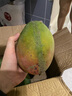 京鮮生 攀枝花凱特芒 凈重8.5斤 帶箱9斤 單果600g+ 生鮮水果 源頭直發(fā) 曬單實拍圖