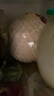佳沃泰國進(jìn)口椰青香水椰子 6個裝 中果800g+ 新鮮水果 源頭直發(fā) 曬單實拍圖