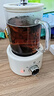 樂(lè )燉 養生壺迷你養生杯電燉杯辦公室煮茶壺煮茶器小型一人花茶壺燒水壺電煮茶杯加熱杯墊燉煮壺一體 0.6L 【機械】+茶漏 加厚材質(zhì)帶三年以換代修 曬單實(shí)拍圖