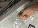 周六福（ZLF）  黃金耳飾女款5G足金福字國潮福牌耳釘 計價(jià)T 1.96g 曬單實(shí)拍圖
