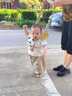 洽苒德國品牌學(xué)步帶嬰幼兒學(xué)走路牽引繩防摔寶寶防勒神器小孩兒童學(xué)站 【玩偶 一步一響】晨曦綠 熊貓可拆卸 曬單實(shí)拍圖