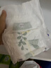 露安適（Lelch）植萃嬰兒夜用安心褲XXXL碼34片(17KG+)拉拉褲夏季超薄 尿不濕透氣 曬單實拍圖