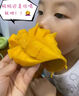 現(xiàn)摘進(jìn)口澳芒大芒果應(yīng)季水果新鮮澳洲越南奧芒9斤整箱海南蘋果芒 5斤裝【單果8兩起】 曬單實(shí)拍圖