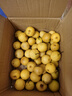櫻慕晴【JD地標認證】正宗遼寧鞍山南果梨東北特產(chǎn)南國梨香水梨新鮮水果 4.5斤【普裝特大果黃梨】約20枚 曬單實(shí)拍圖