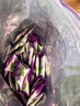 溜溜梅 智利無核西梅干 800g 800g*1袋 曬單實拍圖