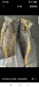 GUO LIAN國(guó)聯(lián) 三去黃花魚(yú)2條 共凈重2斤國(guó)產(chǎn)寧德東海大黃魚(yú) 海鮮水產(chǎn)生鮮 曬單實(shí)拍圖