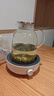 小熊（Bear）迷你電陶爐 煮茶器煮茶爐煮茶壺 養(yǎng)生圍爐煮茶老白茶黑茶花茶泡茶不挑器具 DTL-J13N3 曬單實拍圖