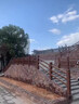 世騰水泥仿木護(hù)欄景區(qū)河道池塘圍欄柵欄防樹皮木紋混凝土仿木欄桿廠家 國(guó)標(biāo)仿木欄桿 曬單實(shí)拍圖