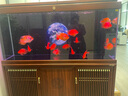 森森（SUNSUN）【包安裝】新款魚缸客廳大型玻璃金魚缸生態(tài)底過濾免換水水族箱 150長42cm加寬升級豪華底濾（三色可選） 曬單實拍圖
