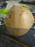 海南文昌去皮椰青大果新鮮現(xiàn)摘現(xiàn)發(fā)孕婦補(bǔ)羊水香水椰子蛋水果特產(chǎn) 2個(gè) 700-900g中小果 曬單實(shí)拍圖