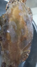 舟山梭子蟹鮮活特大野生大螃蟹新鮮冷凍海鮮水產(chǎn)海蟹飛蟹白蟹順豐 9兩以上/只【5斤凈重 超大肥美】 曬單實拍圖