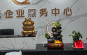 銅雀天驕金蟾招財擺件新店開業(yè)大吉高檔禮物公司喬遷禮品送人開張金蟬擺件 鎏金銅色尺寸約32*32*38cm 曬單實(shí)拍圖