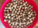 新貨莆田8A大桂圓干500g核小肉厚福建龍眼肉干殼薄特產(chǎn)干貨袋裝 500g/1斤 曬單實(shí)拍圖