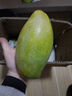 雙品越南大青芒2025新鮮整箱當季熱帶水果金煌甜心大青皮芒 大青芒3斤 曬單實(shí)拍圖