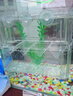 魚(yú)缸掛鉤式孵化盒 懸浮繁殖隔離箱隔離通用觀(guān)賞魚(yú)孔雀魚(yú) 內置特大隔離盒 曬單實(shí)拍圖