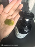 姜力洗發(fā)水1號(hào)原生姜汁植萃洗發(fā)露 男女通用去屑控油洗發(fā)乳500ml 曬單實(shí)拍圖