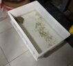 物流塑料周轉箱長方形帶蓋加厚筐子特大號膠框儲物收納盒養(yǎng)魚龜缸 3號白【520*350*150】特級加厚 曬單實拍圖