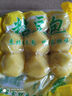 糧誠記正宗東北粘豆包大黃米江米黏豆包東北特產(chǎn)無添加 黃米粘豆包330g*3袋（27個） 曬單實拍圖