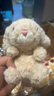 Jellycat米色甜美小兔小短腿公仔動物毛絨玩偶小生日娃娃生日新婚禮物 甜美小兔 One Size 曬單實拍圖