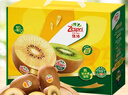 佳沛（zespri）新西蘭  陽光金奇異果10粒禮盒巨大果單果約144-175g 水果 獼猴桃 曬單實拍圖