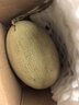 黃河蜜甜瓜 新鮮當(dāng)季水果蜜瓜 沙漠黃金脆香哈密瓜 凈重8-9斤 （2-3枚裝） 曬單實(shí)拍圖