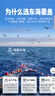 傾海之宴 淡曬墨魚干S3 450g 淡曬目魚干烏賊干 海鮮特產(chǎn)海產(chǎn)品干貨 曬單實拍圖