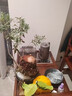 志高純鈦電熱水壺?zé)蟛枰惑w機(jī)自動上水茶臺功夫茶具嵌入式茶桌家用辦公室泡煮茶器自動洗杯最新款 1L 純鈦壺*鈦杯6個【升級自動洗杯+蒸汽消毒】 雙邊加熱+臺嵌兩用（適用95%茶桌） 曬單實(shí)拍圖