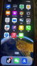 Apple iPhone 14 Pro Max 蘋果14promax 二手手機 5G國行蘋果手機 銀色 256GB【贈氮化鎵PD快充】 99新 （全網通） 標配 曬單實拍圖