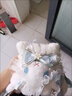 途尊洛麗塔水桶兔包Lolita手作兔垂耳兔2025玩偶蝴蝶結兔包單肩斜挎包 單肩款酒紅色 曬單實(shí)拍圖
