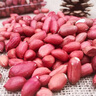 2025年新紅皮花生新貨紅衣農(nóng)家四粒紅花生仁新鮮紅皮生農(nóng)家花生 生2斤紅皮花生米 曬單實(shí)拍圖