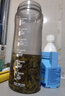 音朗茶葉綠茶 明前龍井茶 2025新茶春茶濃香型豆香茶葉自己喝紙包250g 曬單實拍圖