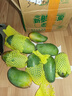 集南鮮 金煌芒 百色芒果當(dāng)季廣西大青皮黃皮大芒果新鮮水果甜心芒果送禮 凈重8.5-9斤特級(jí)（250g起）推薦 曬單實(shí)拍圖
