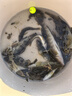 二次元路亞餌鉛頭鉤軟餌套盒T尾軟蟲路亞假餌防刮釣底魚餌 110件套盒 曬單實(shí)拍圖