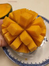 儒沐宸光四川攀枝花凱特芒當(dāng)應(yīng)季新鮮水果超甜芒果水果應(yīng)季現(xiàn)摘時(shí)令生鮮 臻選一級(jí)大果丨單果400g+ 凈重9斤丨多人聚會(huì)裝 曬單實(shí)拍圖